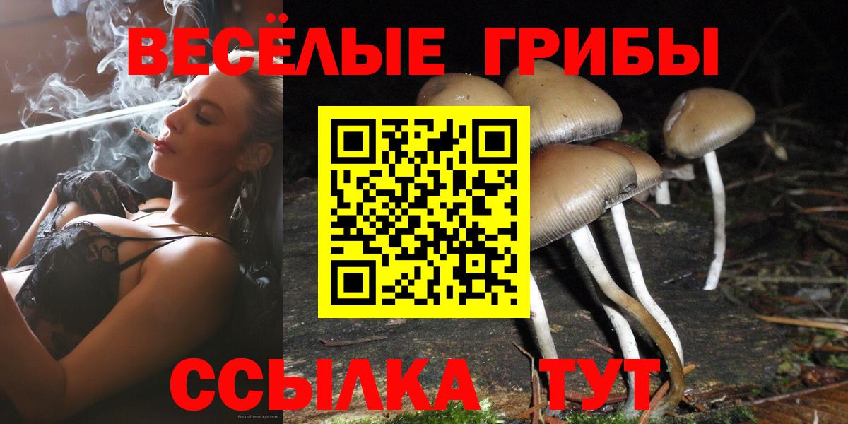 Псилоцибиновые грибы Psilocybine cubensis  Вход с VPN  Семилуки 